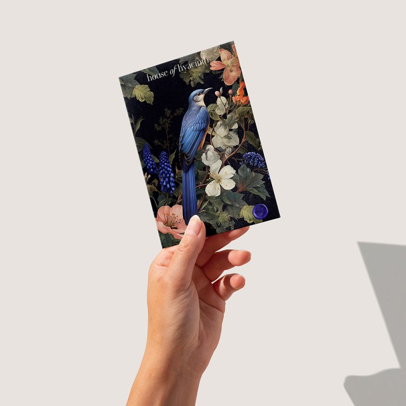 hoh-postkarte_q hoh-postkarte_q